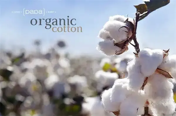 Organic cotton